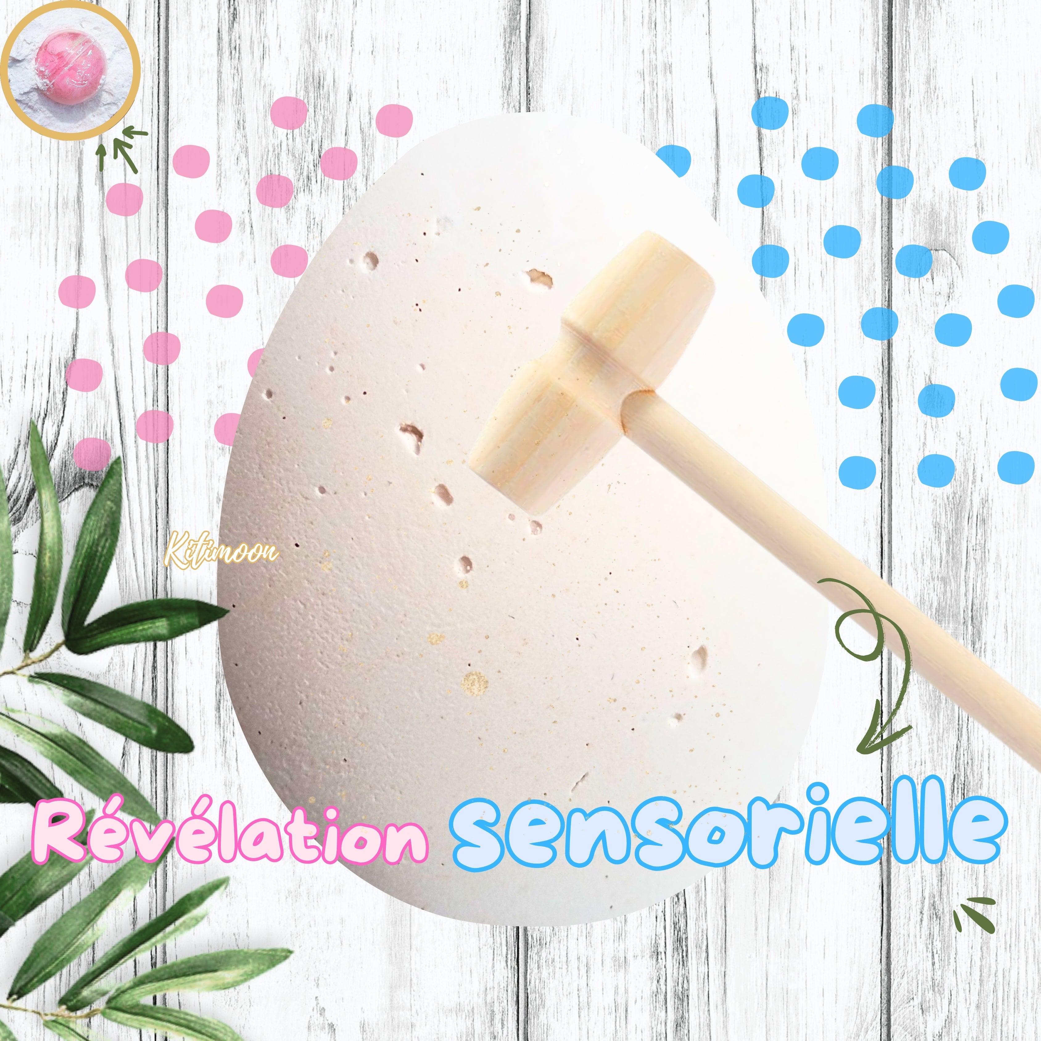 Oeuf à Casser Révélation sexe bébé 